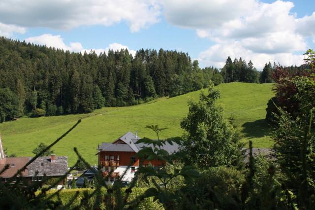 Hotel-Pension Thome Гінтерцартен Екстер'єр фото